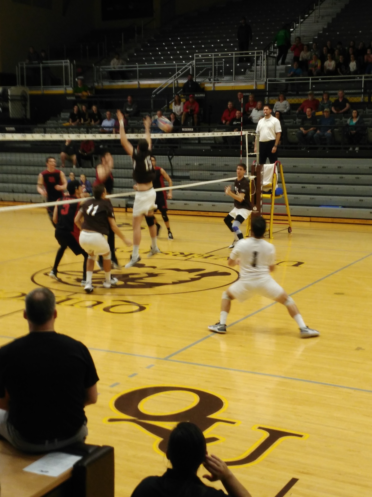 QU Men’s Volleyball Team Loses to Lewis